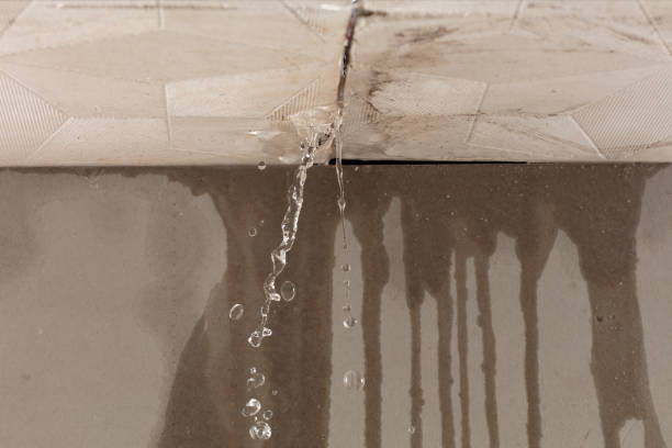 Professional Water Damage Repair technician working in Williston, OH